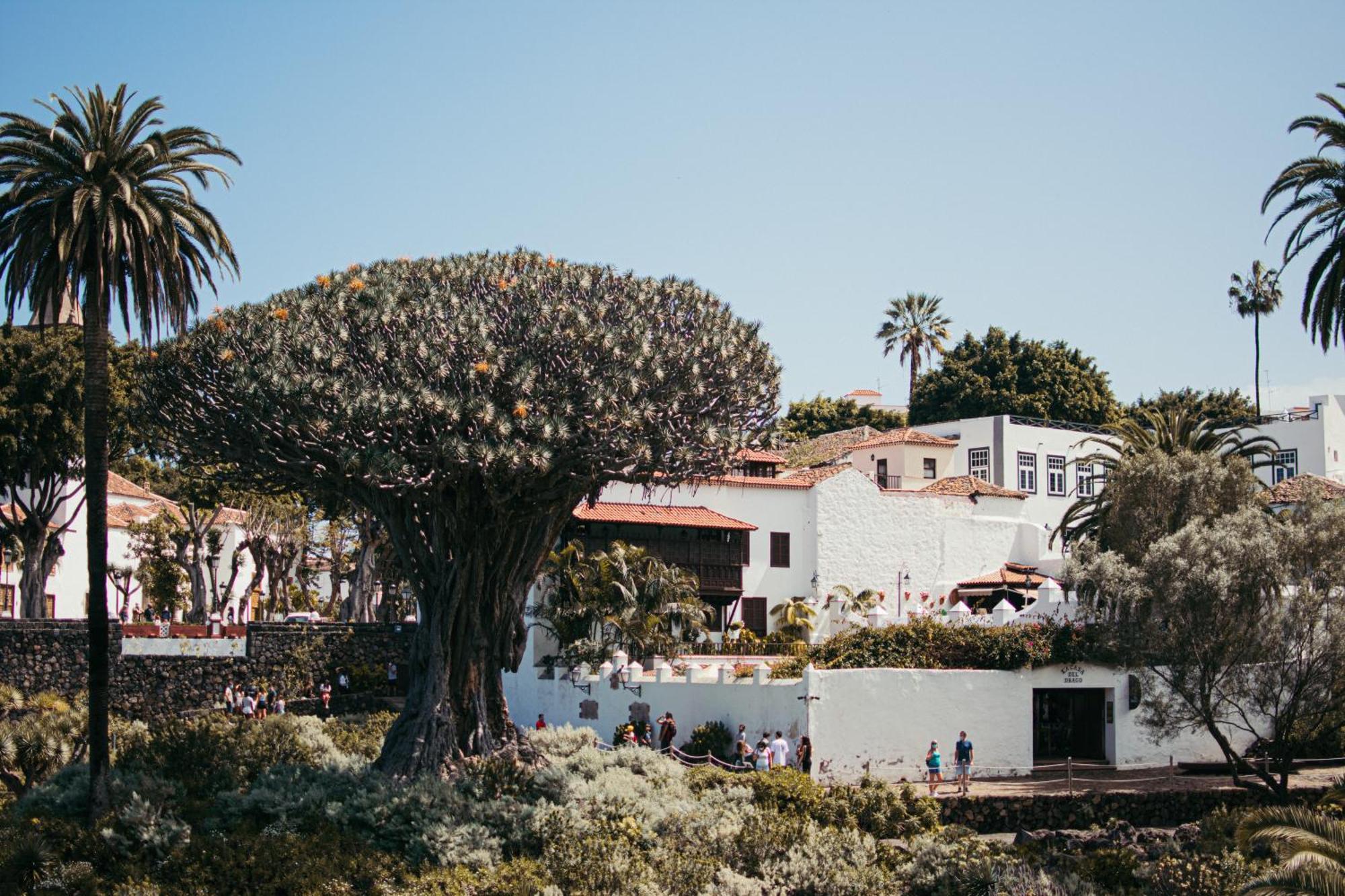 Las Casitas Del Bebedero - Yoga & Ecoturismo Икод де лос Винос Екстериор снимка